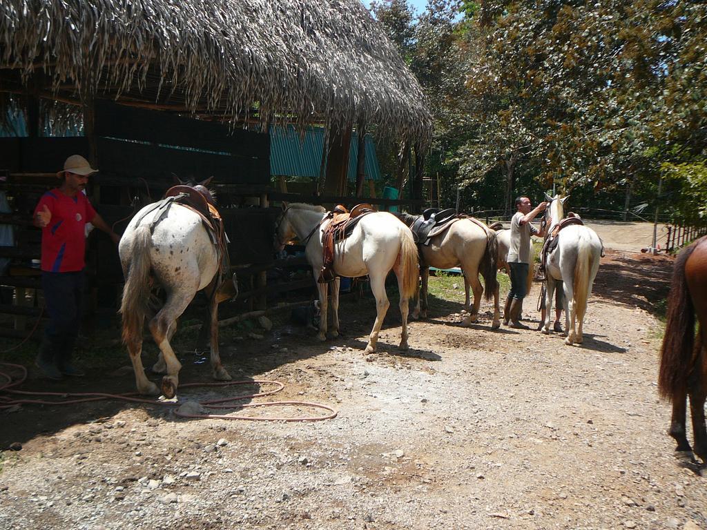 Casas Buenas Brisas Villa Ojochal Oda fotoğraf